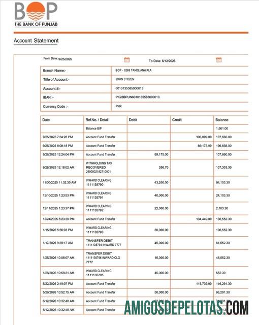 Extrato de conta do Paquistão Bank Of Punjab para download, modelo Word e PDF